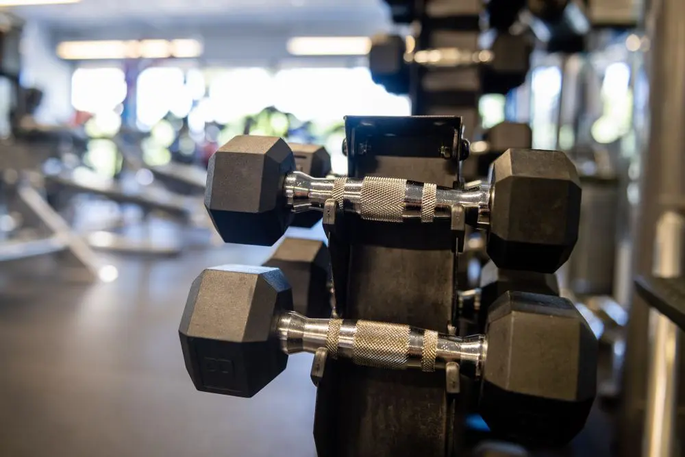 A row of black dumbbells in a gym.