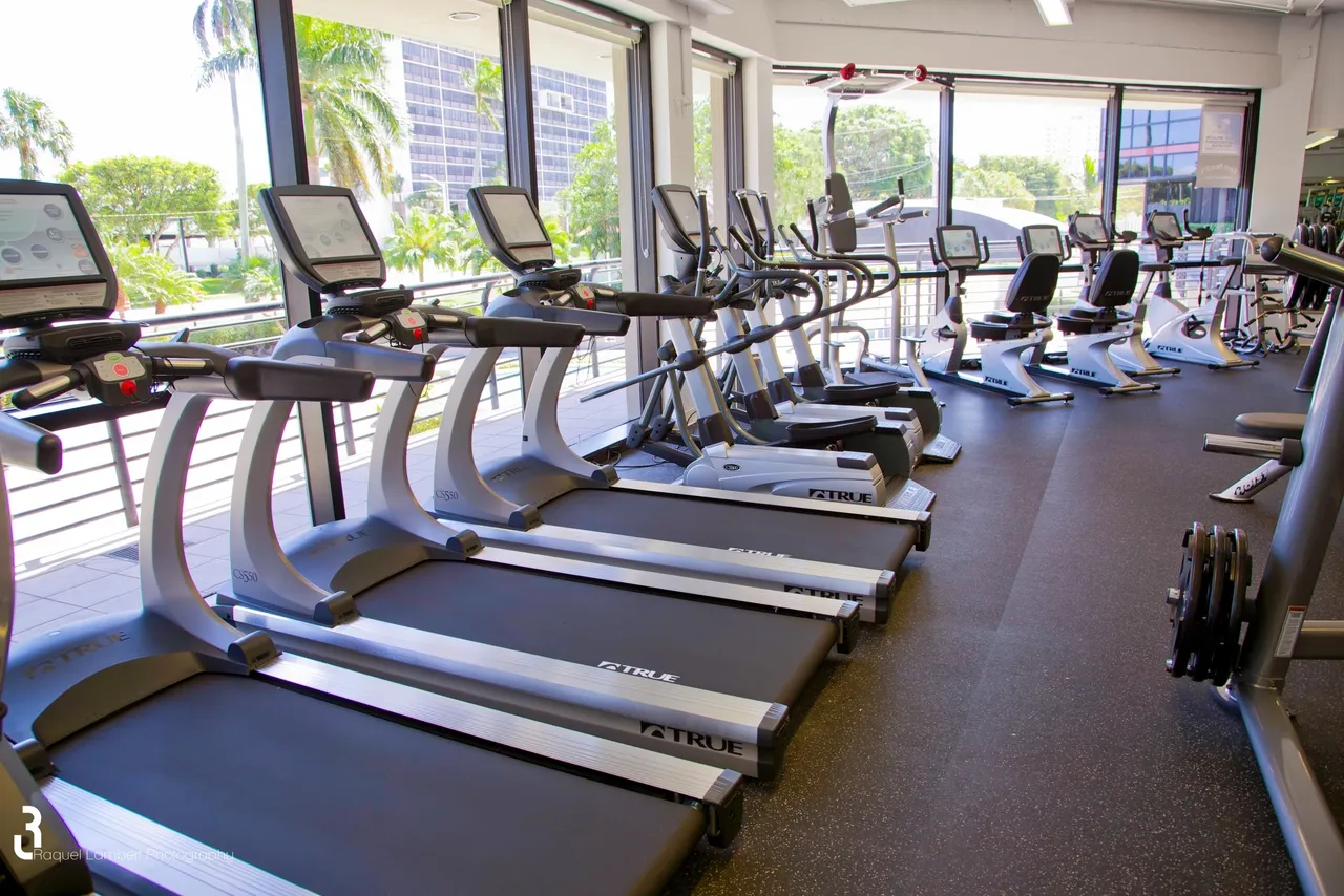 A row of treadmills in a gym with palm trees outside.